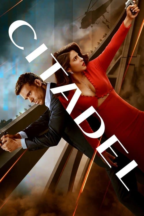 Film's poster