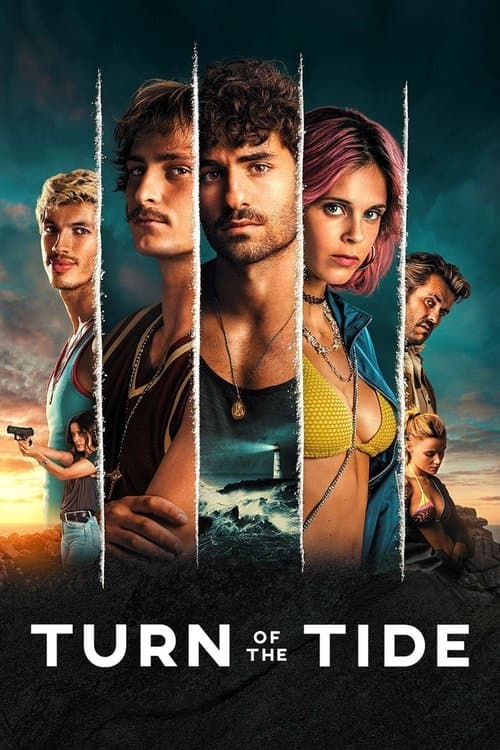 Film's poster