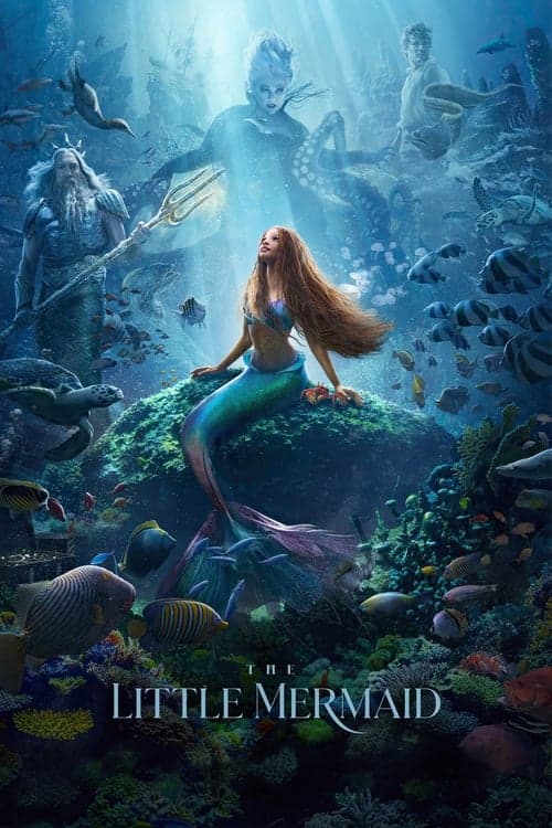 Film's poster